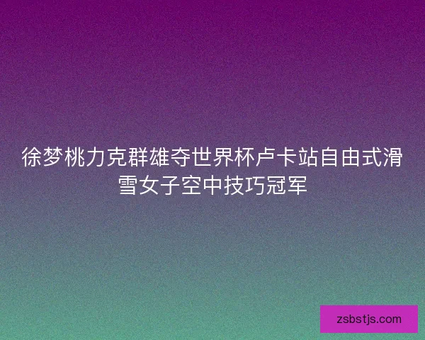 徐梦桃力克群雄夺世界杯卢卡站自由式滑雪女子空中技巧冠军 徐梦桃力克群雄夺世界杯卢卡站自由式滑雪女子空中技巧冠军