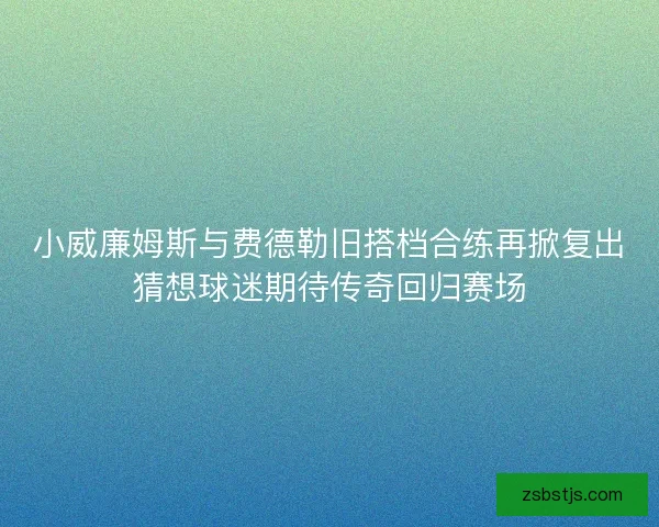 小威廉姆斯与费德勒旧搭档合练再掀复出猜想球迷期待传奇回归赛场 小威廉姆斯与费德勒旧搭档合练再掀复出猜想球迷期待传奇回归赛场